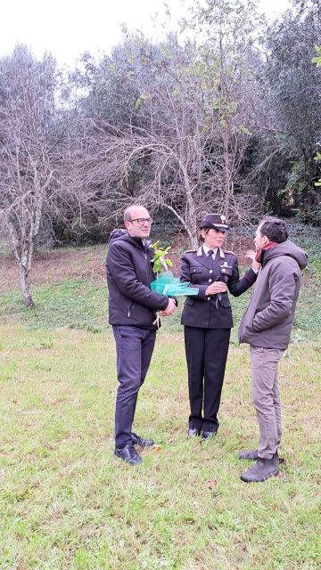 Giornata nazionale degli alberi